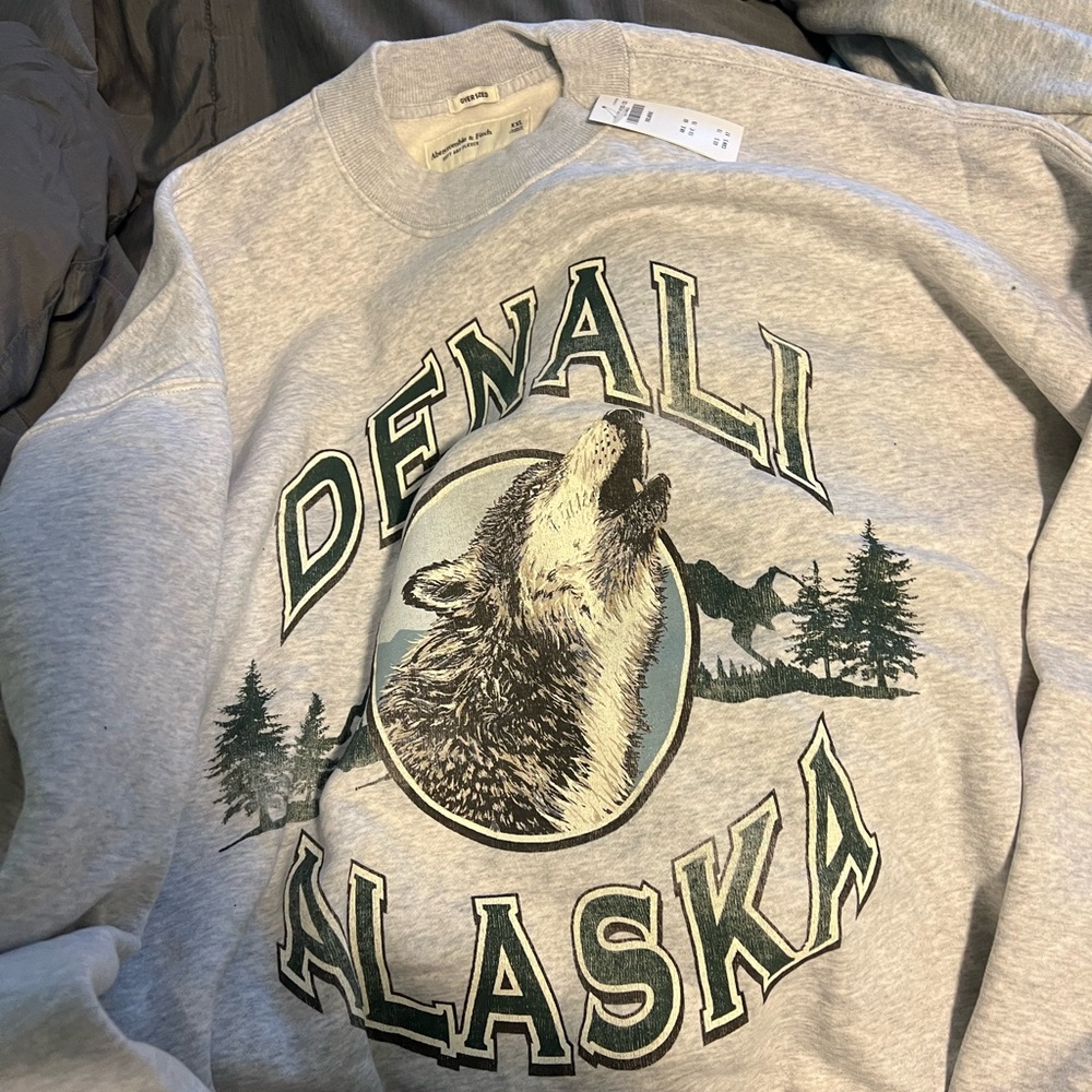 Abercombie Denali sweatshirt